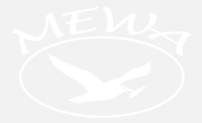 T這 logo Mewa